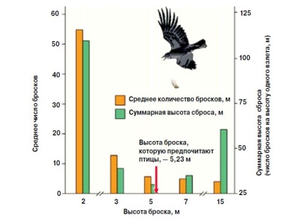 Ce este lenea din punctul de vedere al creării sănătății în biologie