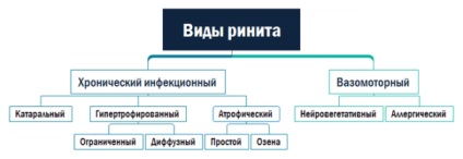 Picăturile de bere din frig, care pot fi bune, terapeutice, de la alergice, eficiente