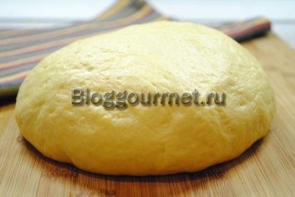Aluatul de drojdie în paine (universal)