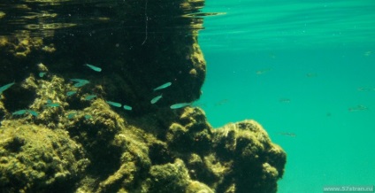 Ökológiai park Shel-ha snorkeling Mexikóban