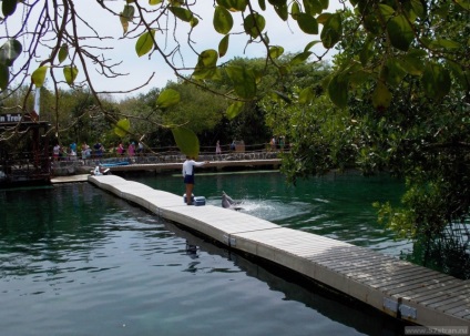 Parcul ecologic Snorkeling Shel-ha în Mexic