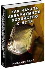 E-carte cum se face economia acvariului cu 700 de litri, care să îndeplinească prețul de 35 de litri