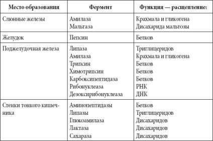 Enzime pentru digestie ce este, acțiunea lor și consecințele lipsei