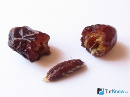 Date proprietati utile, daune, calorii, beneficii