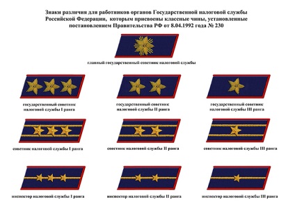 Forma de îmbrăcăminte și insigne ale Serviciului Fiscal de Stat al Federației Ruse