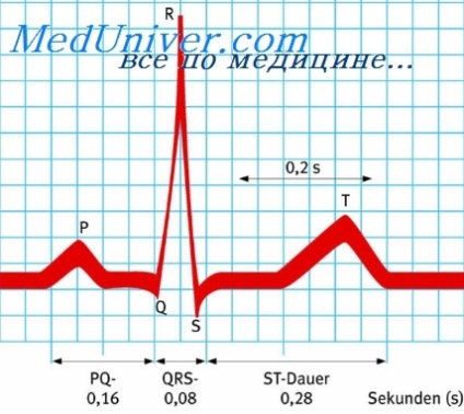 Hipertrofia ventriculului stâng pe ect