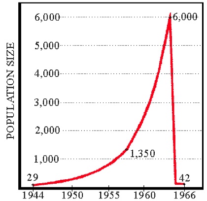 Colapsul demografic global este inevitabil - știri futuristice -