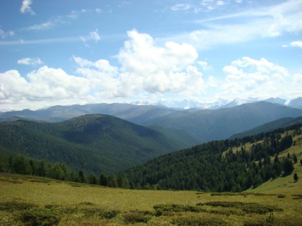 Beluga munte în Altai, descriere și intrare