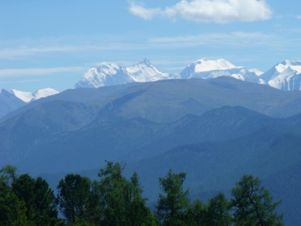 Beluga munte în Altai, descriere și intrare