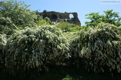 Inel de munte lângă kislovodsk, drumurile lumii