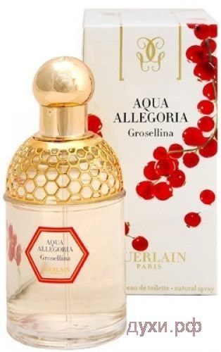 Guerlain aqua allegoria grosellina parfumerie originală cu livrare în Rusia și Kazahstan