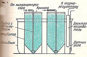 Incubator Artemia