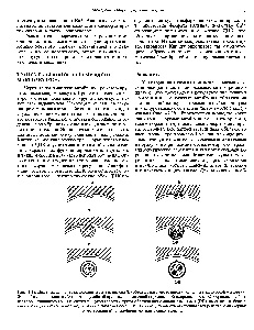 Invaginarea membranelor - manualul chimic 21