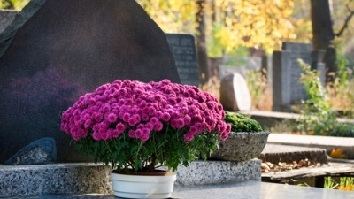 Ce flori ar trebui să fie transportate în cimitir timp de 9 și 40 de zile de la moartea