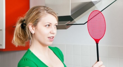Hogyan lehet megszabadulni a szúnyogoktól egy lakásban?