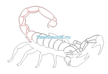 Hogyan kell felhívni a skorpiót a ceruza szakaszában