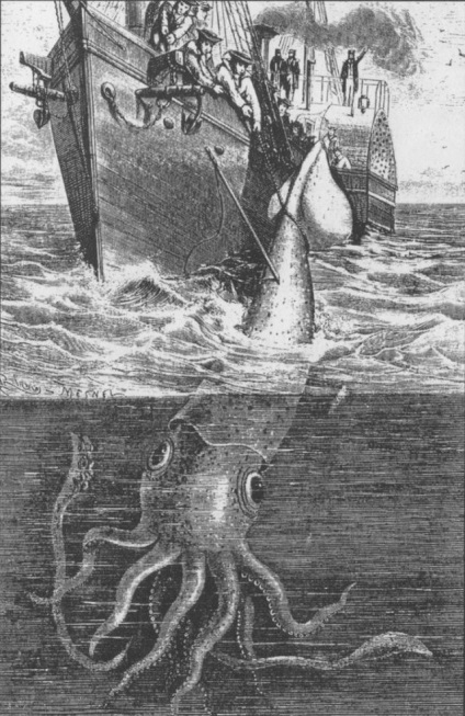 Cum să furișați stealth pe un squid gigant