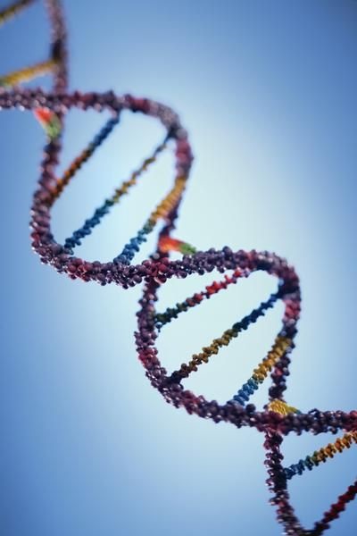 Cum apare replicarea ADN