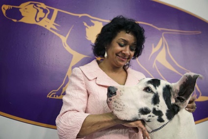 Cum este expoziția de câini westminster kennel club 2015, mai proaspete - cel mai bun din Runet pentru a doua zi!