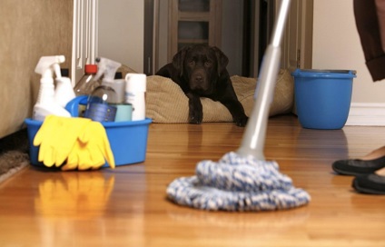 Cum de a simplifica curățarea apartamentului, împărtășiți sfaturi