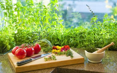 Hogyan nőhet fel zöldség az ablakpárkányon télen