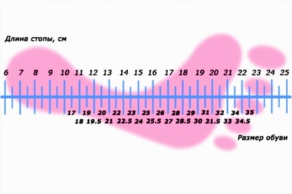 Calculator pentru determinarea dimensiunii pantofilor