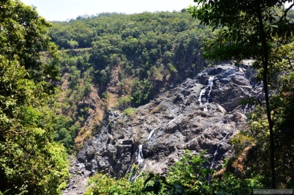 Cairns australia este o pădure tropicală și un mare recif de bariere