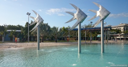 Cairns australia este o pădure tropicală și un mare recif de bariere