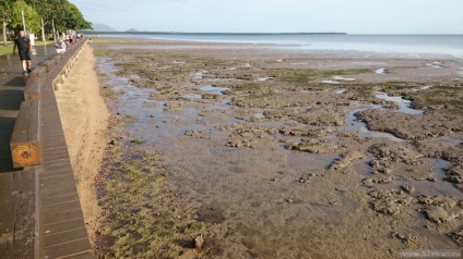 Cairns australia este o pădure tropicală și un mare recif de bariere