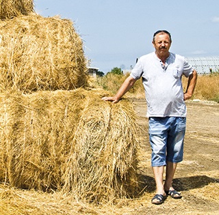 Experiența Kfkh anatolia gurbanovoy de creștere a grâului de toamnă