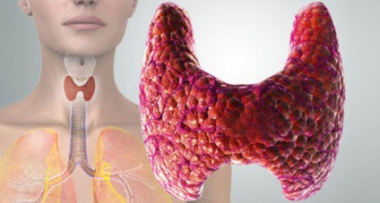 Cum și dureri în gât cu simptome ale glandei tiroide