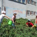 дейности Синопсис logoritmicheskoj за деца по-възрастните 