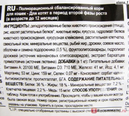 Hrană pentru pisici pisoi regal canin pentru pisoi de la 4 luni - 