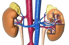 Tratamentul cancerului adrenocortic al suprarenelor