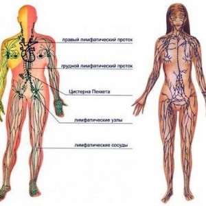 Simptomele și semnele limfomului