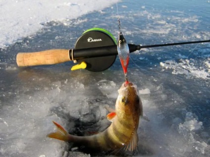 Cele mai bune momeli de iarnă pentru metodele de pescuit excesiv de a face propriile mâini