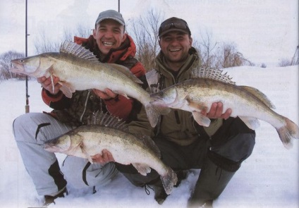 Cele mai bune momeli de iarnă pentru metodele de pescuit excesiv de a face propriile mâini