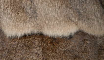 Fur de iepure-orilag - cumpara haina de blana de la un model de iepure-orilag, model 2017 - 2016, preturi, catalog, fotografie