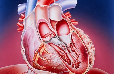 Незначителни сърдечни симптоми и признаци на жените и мъжете