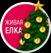 Mimes pentru vacanța și evenimentul din Ekaterinburg