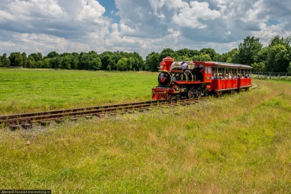 Zoo Mogilev - ce să vezi, ce să faci, cum să ajungi acolo