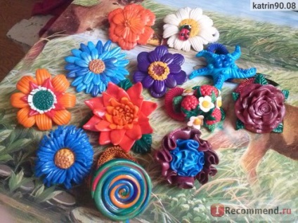 Set de flori din plastic - clipuri de păr și benzi elastice cu mâinile tale! Foto! (Actualizat) 