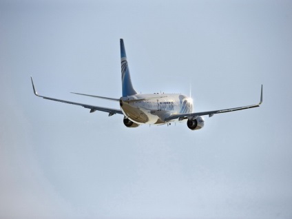 На кожата на падналия Еърбъс Egyptair заплашително надпис, открит