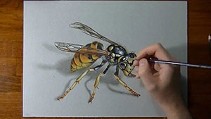 Desenați un creion în etape - cum să desenați cu un creion pas cu pas