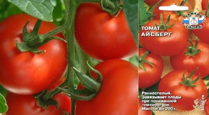 Noi soiuri de tomate (descriere și comparație) descrierea soiurilor