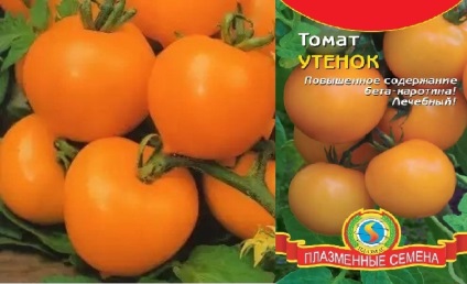 Noi soiuri de tomate (descriere și comparație) descrierea soiurilor