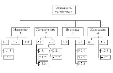 Fundamentele organizatorice ale managementului