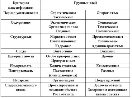 Fundamentele organizatorice ale managementului