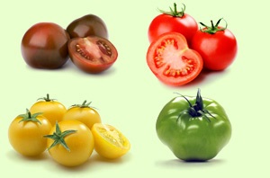 Caracteristicile tomatei