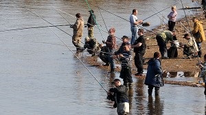 Caracteristici de pescuit în Marea Okhotsk »